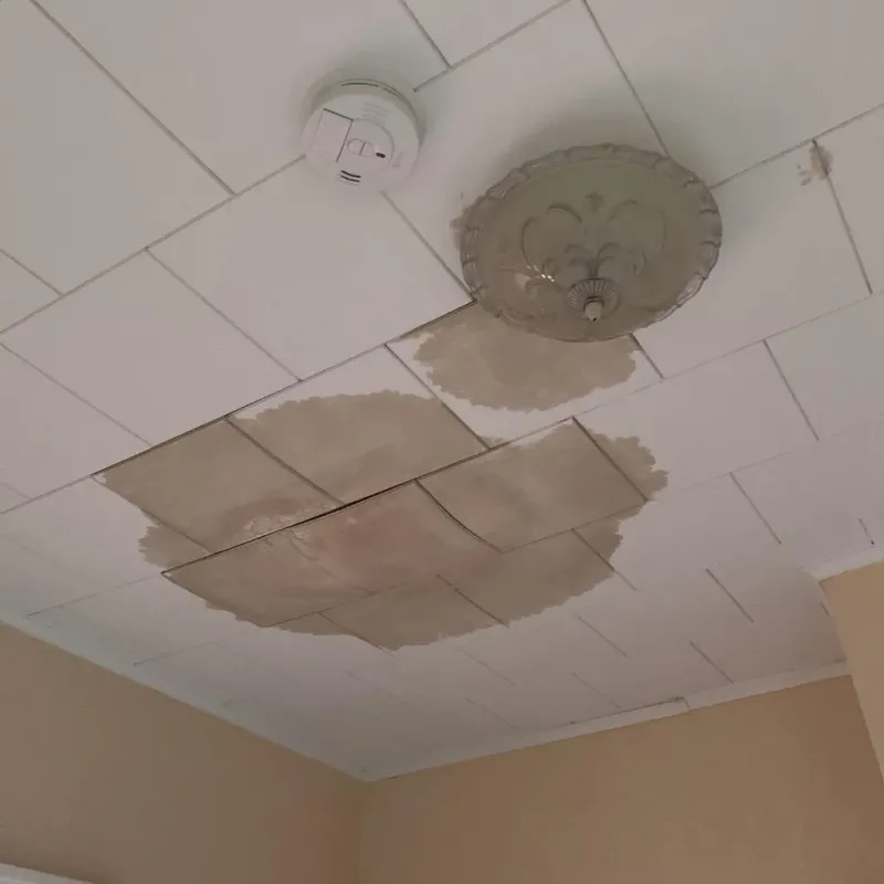 Ceiling Water Damage Repair in Mignon, AL