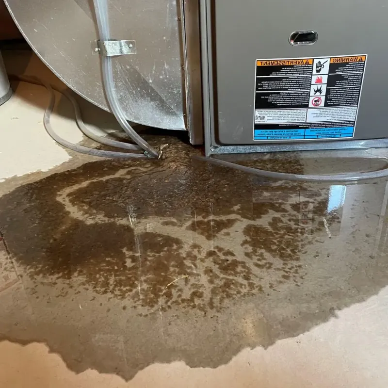 Pipe Burst and Leak Restoration in Mignon, AL
