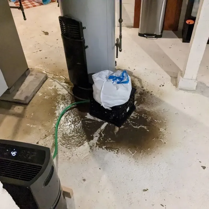 Sewage Backup Cleanup Service in Mignon, AL